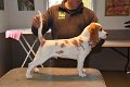 Afb_20171112_woody (11)